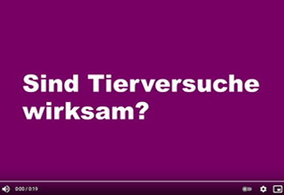 Sind Tierversuche wirksam?