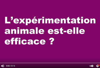 L’expérimentation animale est-elle efficace ?