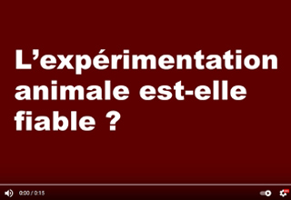 L’expérimentation animale est-elle fiable ?