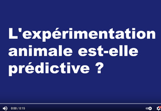 L’expérimentation animale est-elle prédictive ?