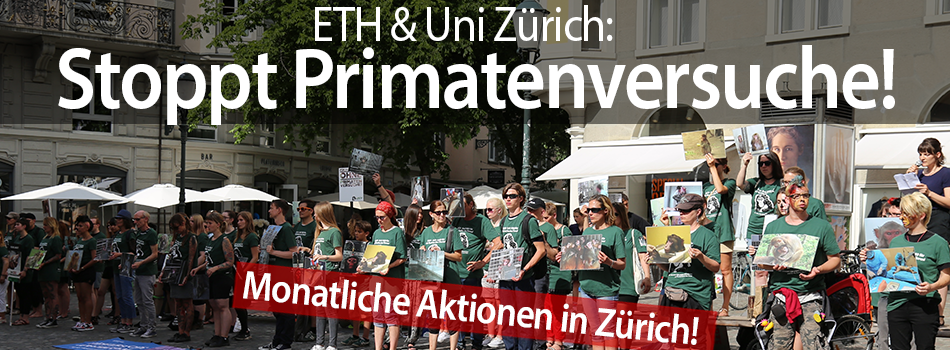 Der Zürcher Hirschenplatz ist an einem Sommertag zu sehen. Dutzende Aktivist*innen tragen grüne LSCV Shirts und halten verschiedene Fotos im Format A3 in den Händen welche Affen in Freiheit, Gefangenschaft und im Labor zeigen. Am Boden liegen Transparente. Oben steht über dem Bild in einem Feld "ETH & Uni Zürich: Stoppt Primatenversuche!". Unten steht in einem roten Feld mit weisser Schrift: "Monatliche Aktionen in Zürich."