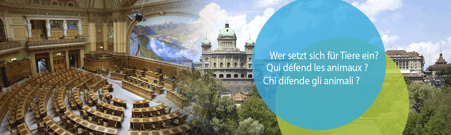 Im linken Drittel des Bildes ist der Nationalratssaal zu sehen, in den zwei Dritteln rechts das Bundeshaus, darüber die Frage: "Wer setzt sich für Tiere ein?" - La salle du Conseil national est visible dans le tiers gauche de l'image, le bâtiment fédéral dans les deux tiers à droite, et au-dessus la question : "Qui soutient les animaux ?" - L'aula del Consiglio nazionale è visibile nel terzo a sinistra dell'immagine, il Palazzo federale nei due terzi a destra e sopra di essa la domanda: "Chi sostiene gli animali?"