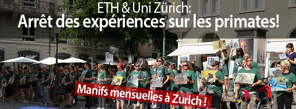 La Hirschenplatz de Zurich est visible un jour d'été. Des dizaines d'militant*e*s portent des t-shirts verts de la LSCV et tiennent dans leurs mains différentes photos au format A3 montrant des singes en liberté, en captivité et en laboratoire. Des banderoles sont posées au sol. En haut, au-dessus de la photo, on peut lire dans un champ "ETH & Uni Zürich : Stoppt Primatenversuche ! En bas, dans un champ rouge avec une écriture blanche, on peut lire : "Actions mensuelles à Zurich".