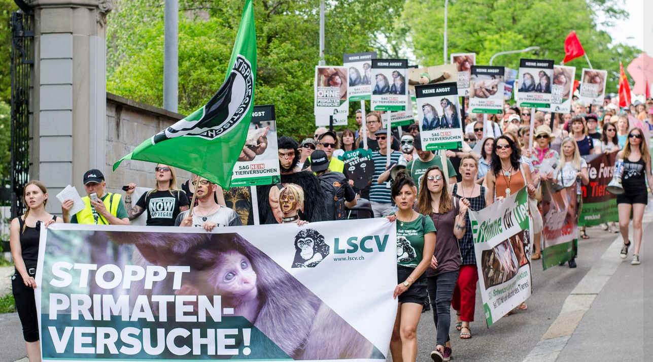 Hunderte Personen sind in einem Demozug gegen Tierversuche. Zuvorderst das Transparent: "Stoppt Primatenversuche!"