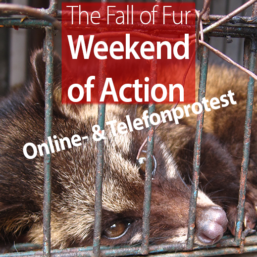 The Fall of Fur – Weekend of Action 25.-27.11.2022