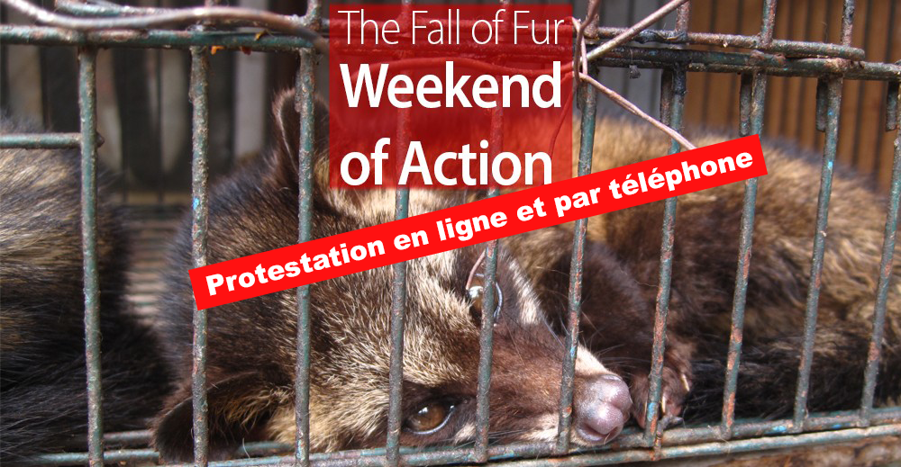 The Fall of Fur – Weekend d’Action du 25 au 27 novembre 2022