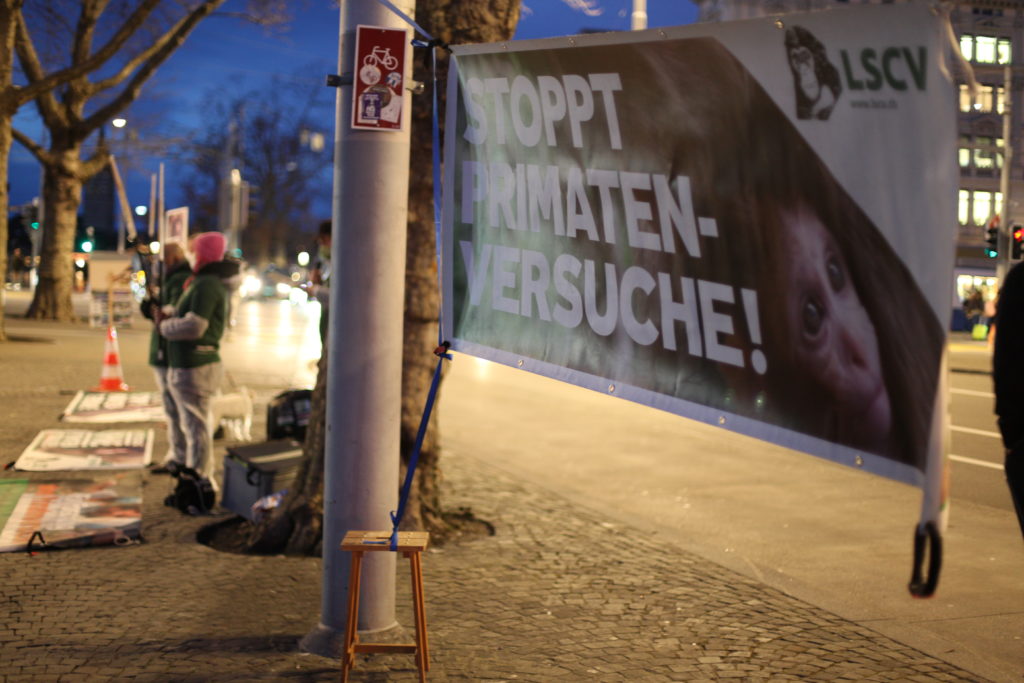 Das Bild wird dominiert von einem Transparent mit der aufschrift "Stoppt Primatenversuche!" welches zwischen zwei Pfosten gespannt ist. Daneben stehen Aktivist*innen stehen auf dem Trottoir und halten A2 Schilder mit der Aufschrift "Für Forschung ohne Primatenversuche!" sowie "LSCV" in den Händen. Am Boden liegen weitere Transparente mit denselben Motiven. Alle Aktivist*innen tragen einen weissen Schutzanzug, ein grünes LSCV-Shirt und eine Mund-Nasen-Abdeckung.