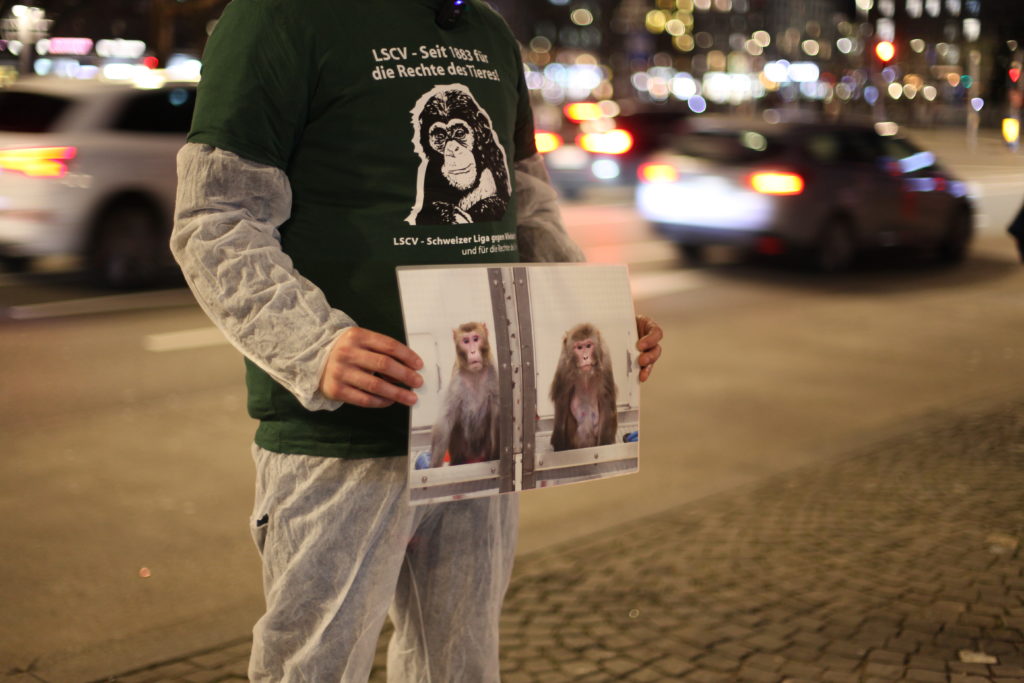 Ein*e Aktivist*in hält ein A3 grosses Foto in den Händen welches zwei Rhesusaffen in einem Käfig hinter einer Plexiglasscheibe zeigt.