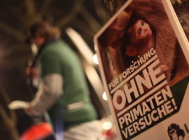 Fotos & Aktionsbericht: ETH & Uni ZH: Stoppt die Primatenversuche | Platzdemo Januar 2023