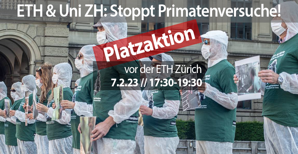 Zwei Kacheln dominieren die Mitte des Bildes mit dem Datum, Zeit und Ort des Protests. Auf dem Bild dahinder ist folgendes Motiv: Aktivist*innen halten A3 Schilder mit Fotos von Affen in Gefangenschaft und Freiheit in den Händen. Alle Aktivist*innen tragen eine Mund-Nasenbedeckung, einen weissen Schutzanzug und ein grünes LSCV-Shirt. Im Hintergrund ist das Hauptgebäude der ETH Zürich zu sehen.