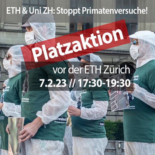 Zwei Kacheln dominieren die Mitte des Bildes mit dem Datum, Zeit und Ort des Protests. Auf dem Bild dahinder ist folgendes Motiv: Aktivist*innen halten A3 Schilder mit Fotos von Affen in Gefangenschaft und Freiheit in den Händen. Alle Aktivist*innen tragen eine Mund-Nasenbedeckung, einen weissen Schutzanzug und ein grünes LSCV-Shirt. Im Hintergrund ist das Hauptgebäude der ETH Zürich zu sehen.