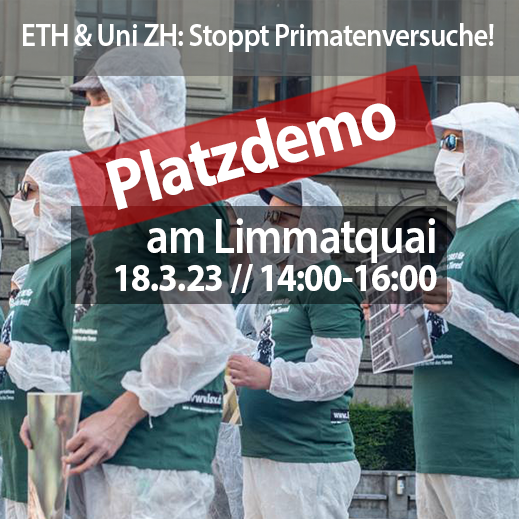 ETH & Uni ZH: Stoppt die Primatenversuche | Platzaktion März