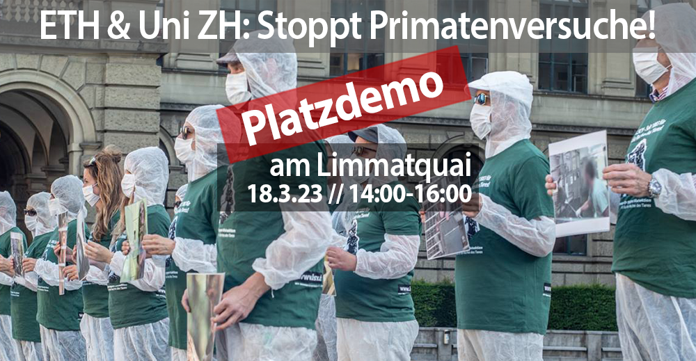 Zwei Kacheln dominieren die Mitte des Bildes mit dem Datum, Zeit und Ort des Protests. Auf dem Bild dahinder ist folgendes Motiv: Aktivist*innen halten A3 Schilder mit Fotos von Affen in Gefangenschaft und Freiheit in den Händen. Alle Aktivist*innen tragen eine Mund-Nasenbedeckung, einen weissen Schutzanzug und ein grünes LSCV-Shirt. Im Hintergrund ist das Hauptgebäude der ETH Zürich zu sehen.