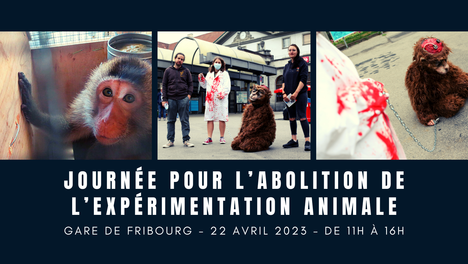 L'image montre un singe enfermé dans une cage, des militant·e·x·s en pleine action devant la gare de Fribourg, et une personne dans un costume de singe