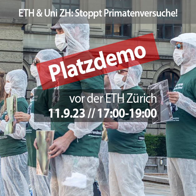 Zwei Kacheln dominieren die Mitte des Bildes mit dem Datum, Zeit und Ort des Protests. Auf dem Bild dahinder ist folgendes Motiv: Aktivist*innen halten A3 Schilder mit Fotos von Affen in Gefangenschaft und Freiheit in den Händen. Alle Aktivist*innen tragen eine Mund-Nasenbedeckung, einen weissen Schutzanzug und ein grünes LSCV-Shirt. Im Hintergrund ist das Hauptgebäude der ETH Zürich zu sehen.