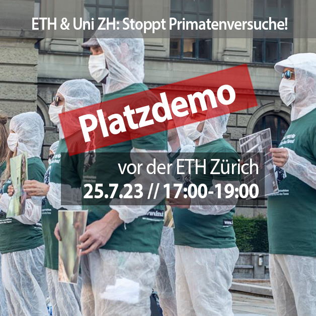 Zwei Kacheln dominieren die Mitte des Bildes mit dem Datum, Zeit und Ort des Protests. Auf dem Bild dahinder ist folgendes Motiv: Aktivist*innen halten A3 Schilder mit Fotos von Affen in Gefangenschaft und Freiheit in den Händen. Alle Aktivist*innen tragen eine Mund-Nasenbedeckung, einen weissen Schutzanzug und ein grünes LSCV-Shirt. Im Hintergrund ist das Hauptgebäude der ETH Zürich zu sehen.