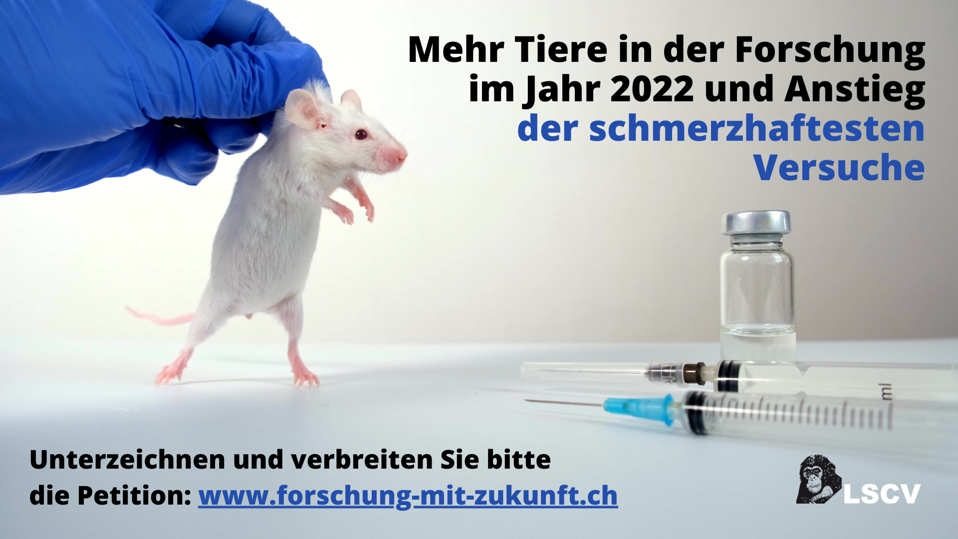 Mehr Tiere in der Forschung im Jahr 2022