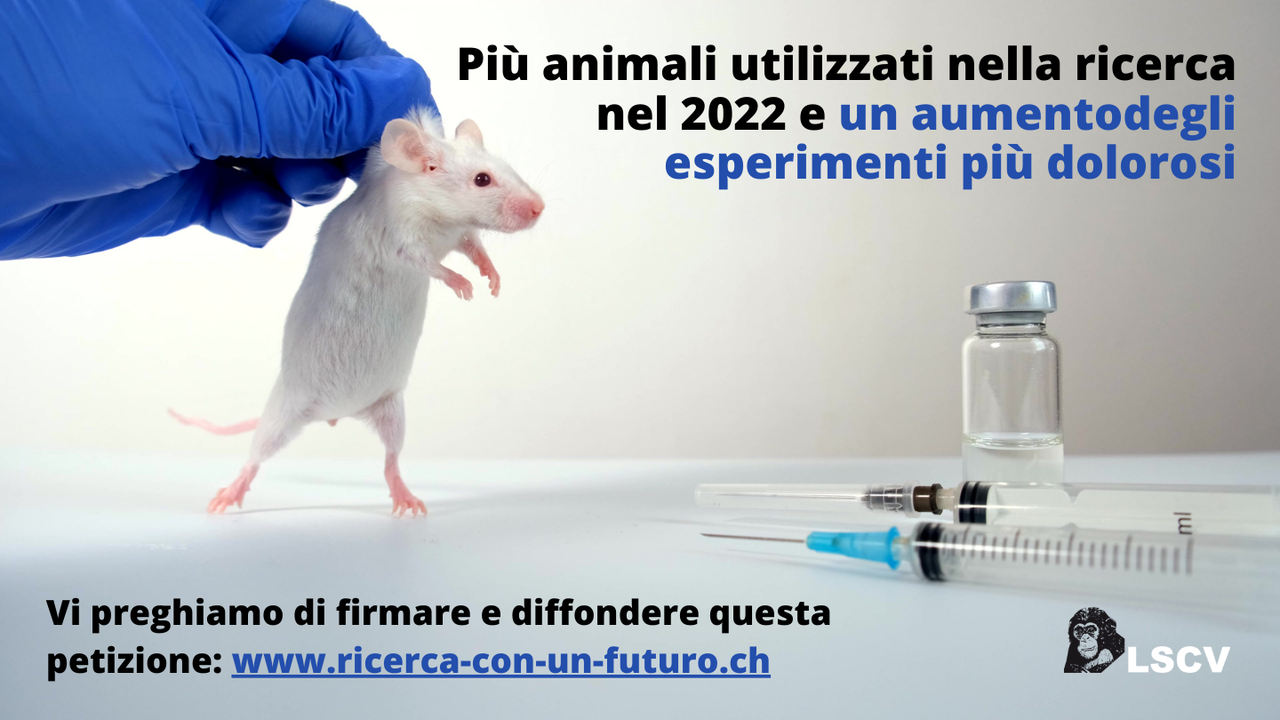 Più animali utilizzati nella ricerca nel 2022