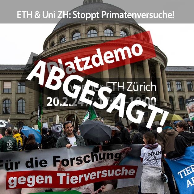 ETH & Uni ZH: Stoppt die Primatenversuche | Platzaktion Februar 2024