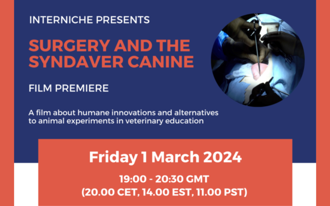 InterNICHE presents: Surgery and the SynDaver Canine film premiere