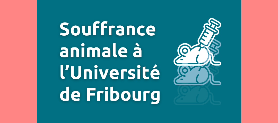 Infractions répétées à la loi sur la protection des animaux à l’Université de Fribourg