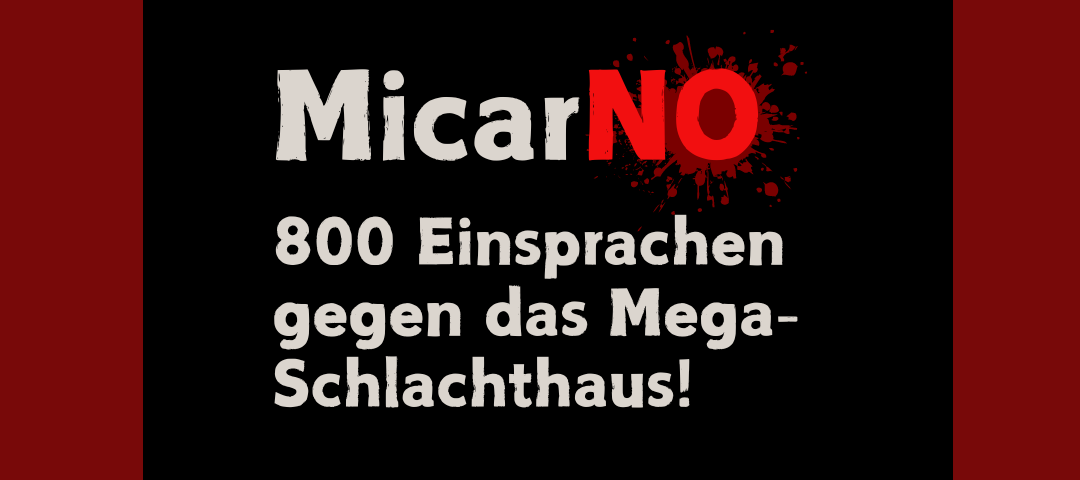 MicarNO-Kampagne: eine super Teamarbeit!
