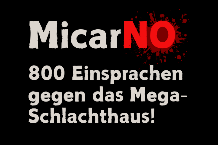 Eine Grafik mit dem Text "800 Einsprachen gegen das Mega-Schlachthaus!" sowie dem Logo der Kampagne "MicarNO"