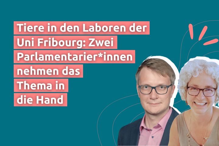 Eine Grafik mit dem Text "Tiere in den Laboren der Uni Fribourg: Zwei Parlamentarier*innen nehmen das Thema in die Hand" sowie den Porträts von Nicolas Pasquier und Christel Berset.
