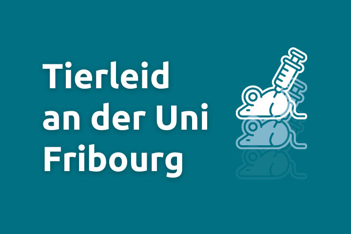 Eine Grafik mit dem Text "Tierleid an der Uni Fribourg" sowie einer Maus und Spritze im Cartoon-Stil.