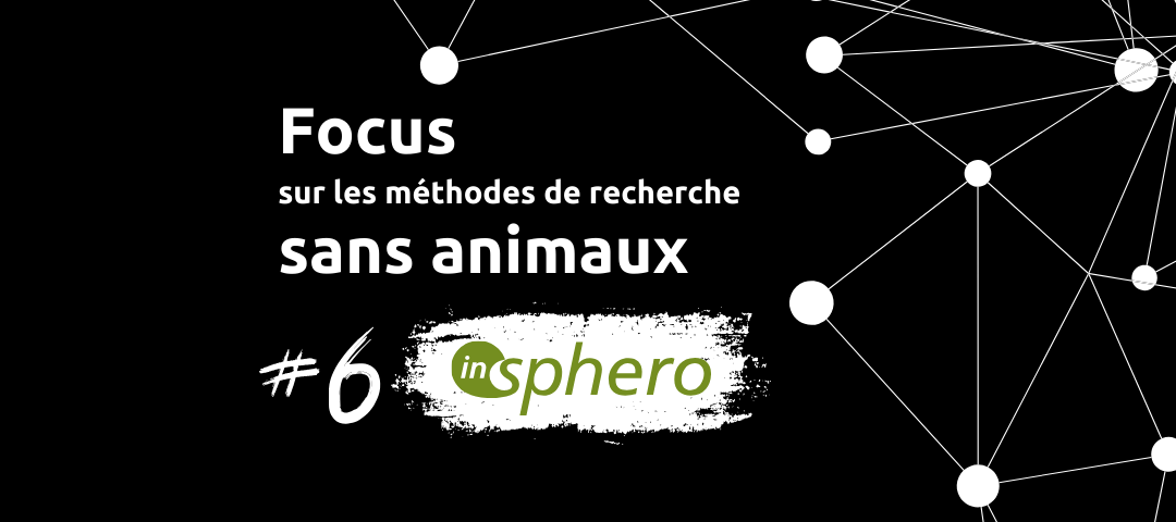Focus sur les méthodes de recherche sans animaux #6: InSphero