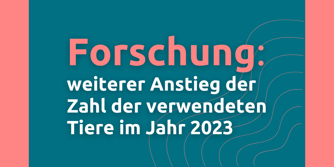 Anstieg der Zahl der verwendeten Tiere im Jahr 2023