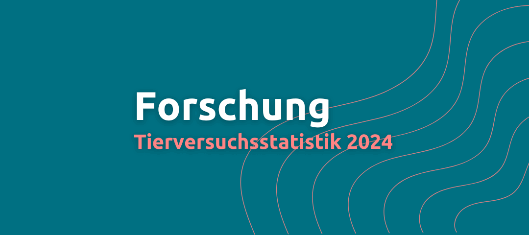 Tierversuchsstatistik 2024