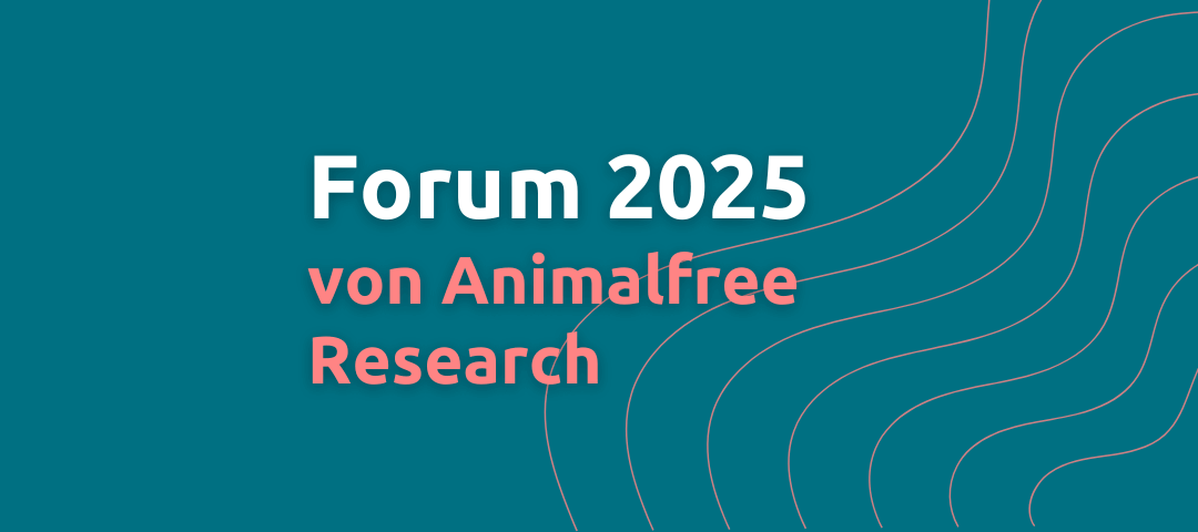 Animalfree Research Forum 2025